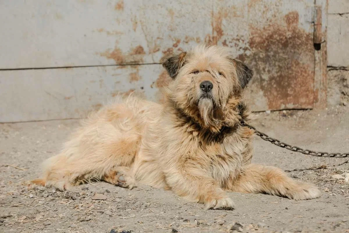 Фото: ИА «NewTimes.kz»