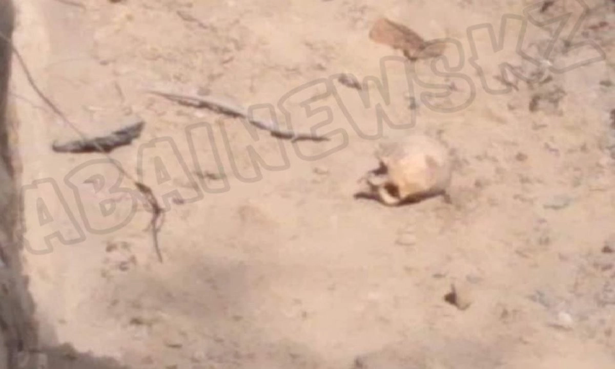 Фото: t.me/abainewskz