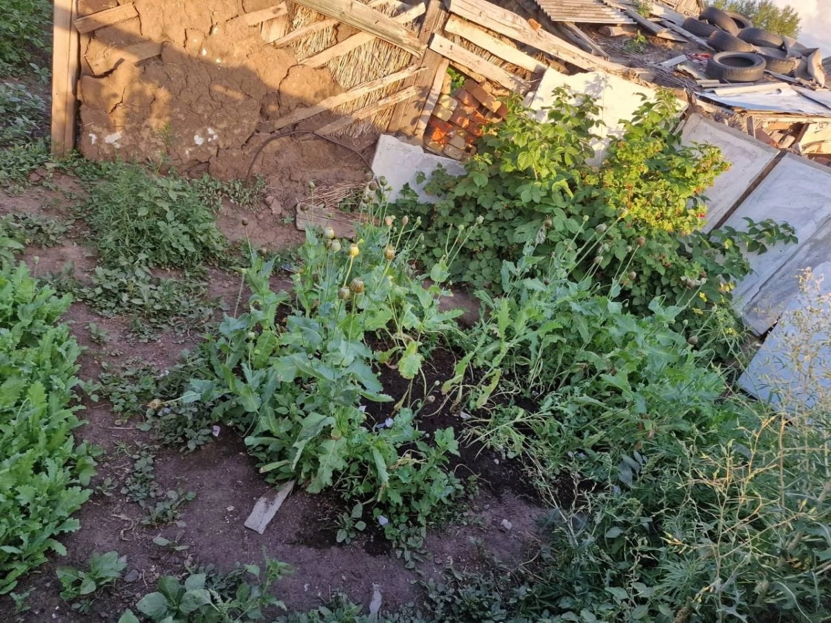 Фото: Polisia.kz