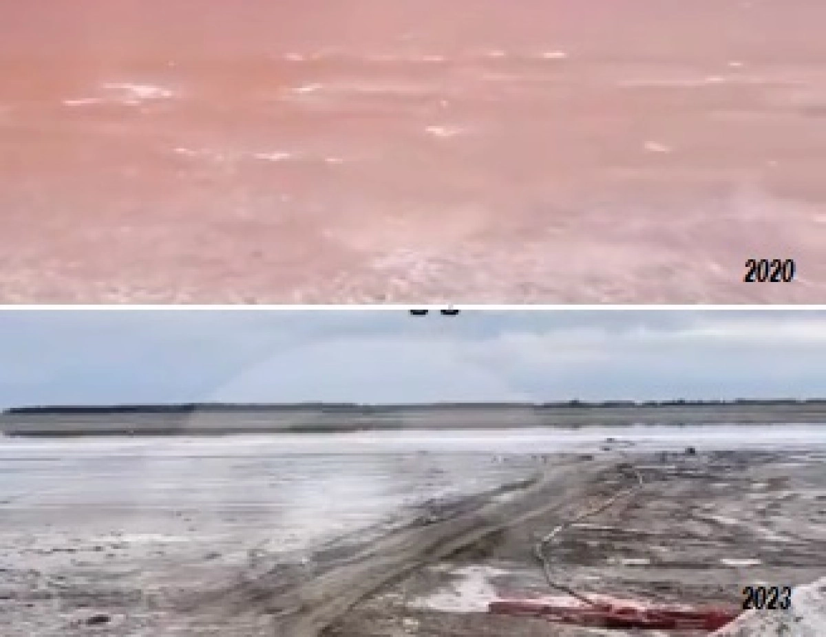 Коллаж ИА «NewTimes.kz»