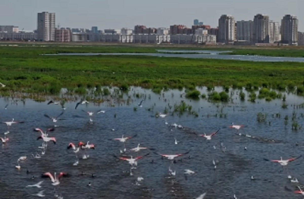 Кадр из видео