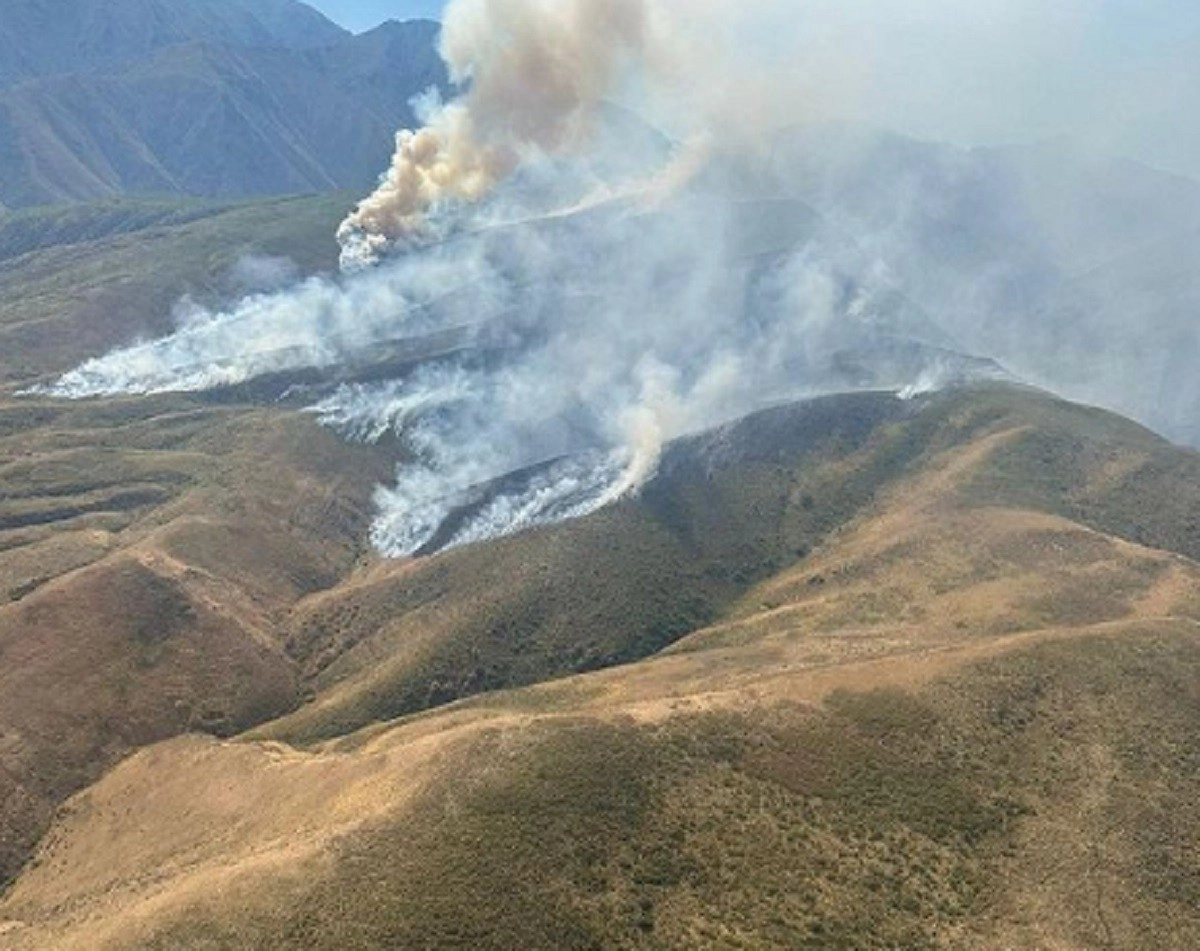 Фото: ДЧС Жамбылской области