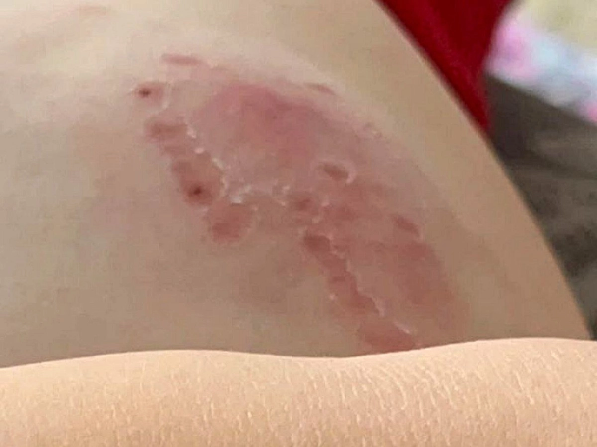 Фото: egovpress/Telegram