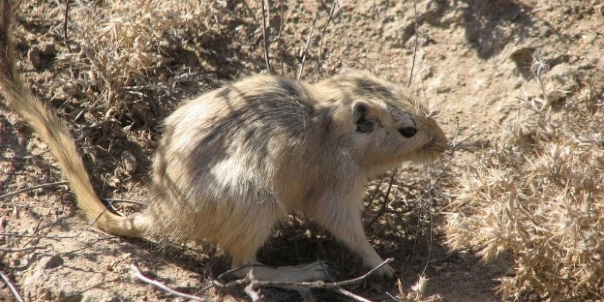 Фото: Айдына Есжанова