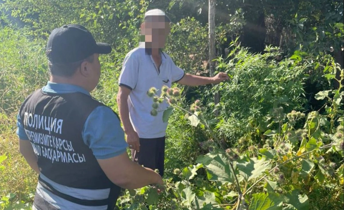 Фото: Пресс-служба ДП ТО