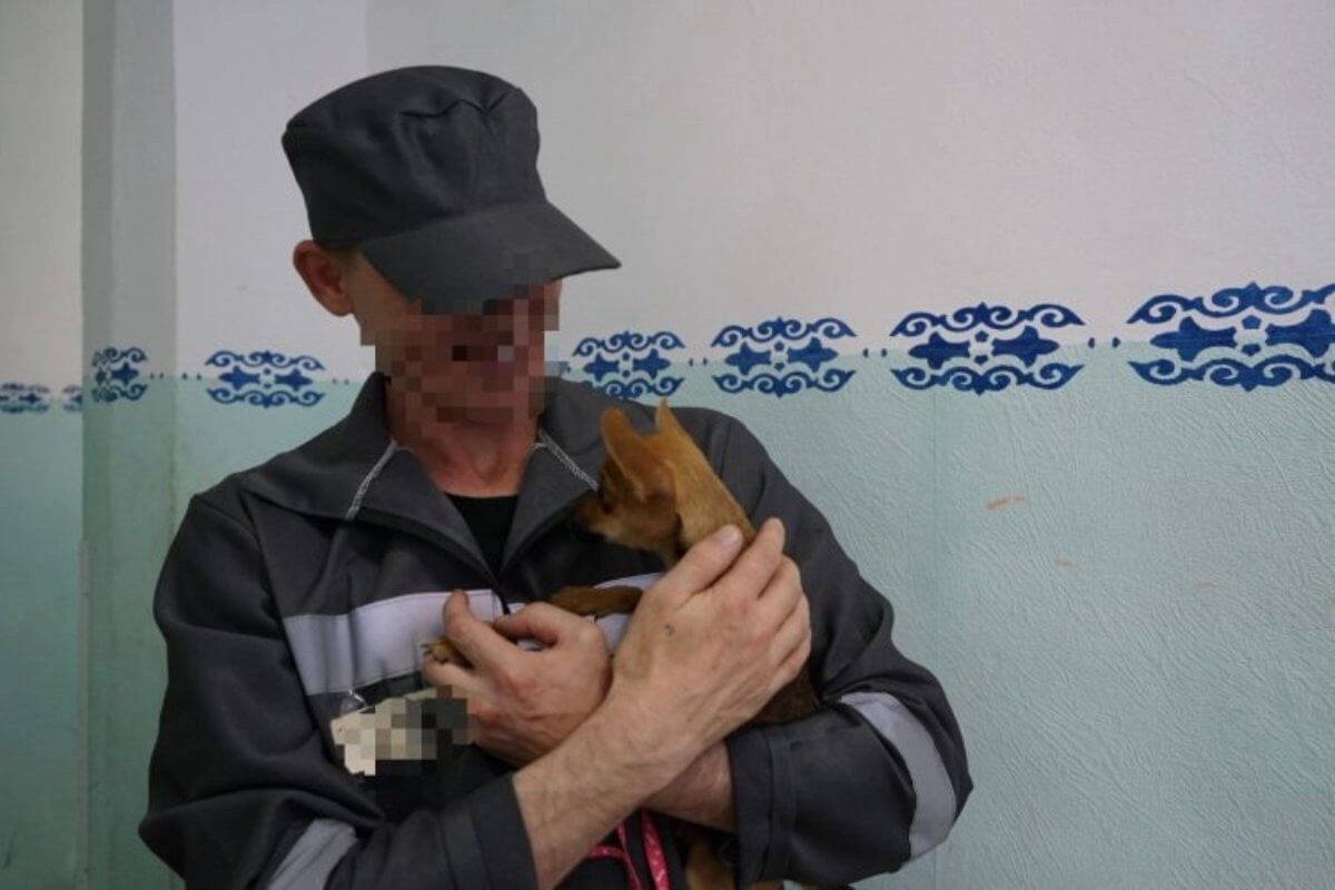 Фото: Pavlodarnews.kz