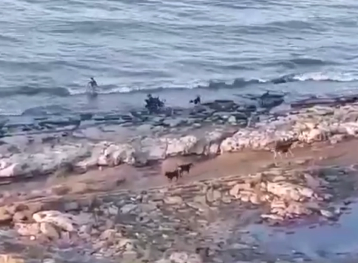 Кадр из видео