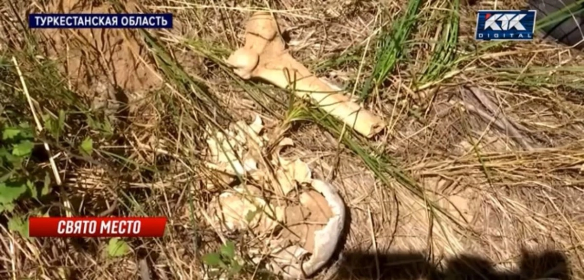 Кадр из видео