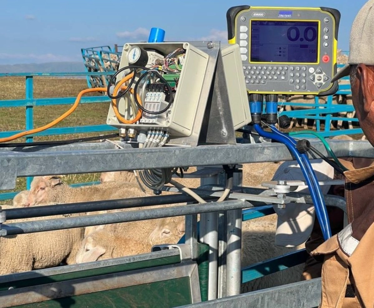 Фото: НПП «Атамекен»