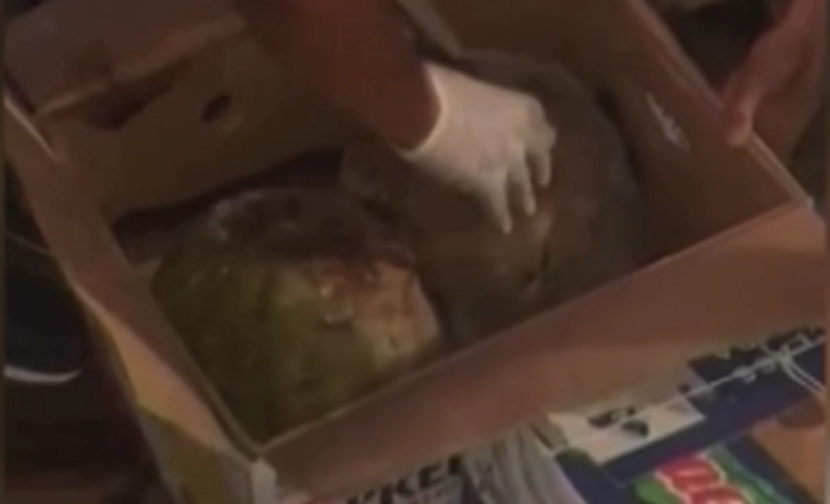 Кадр из видео/ КТК