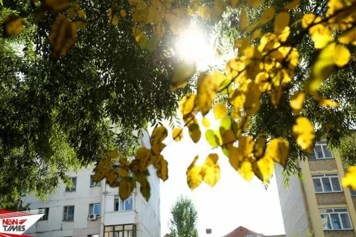 Фото: ИА «NewTimes.kz»