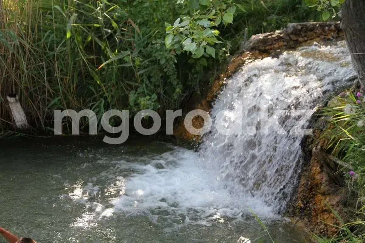 Фото: Мой город