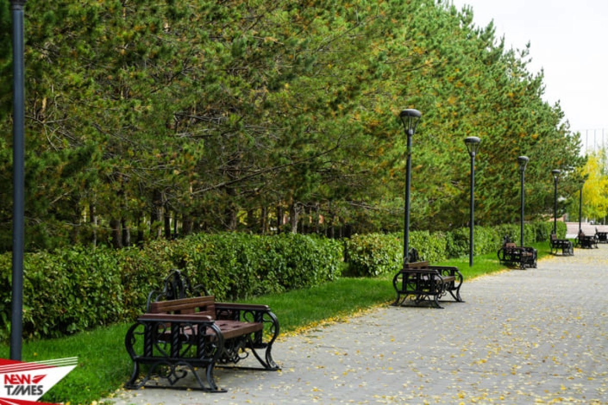 Фото:  «ИА New Times»