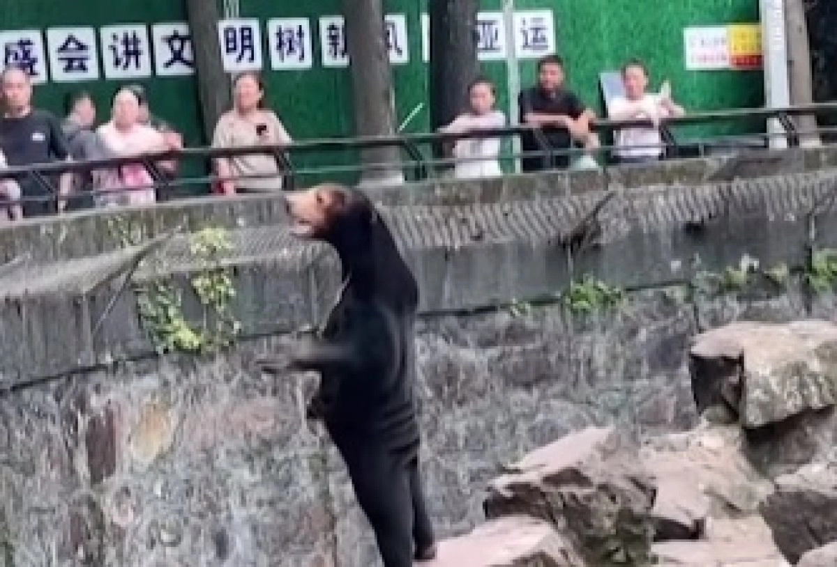 Кадр из видео