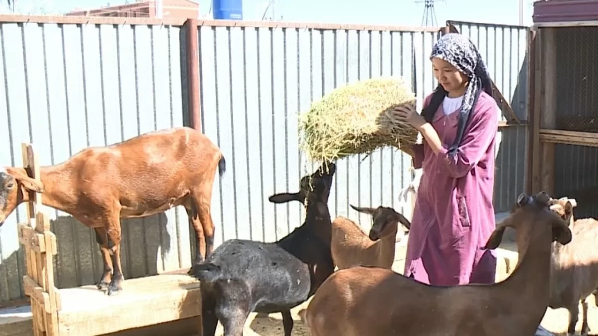 Фото: Inbusiness.kz