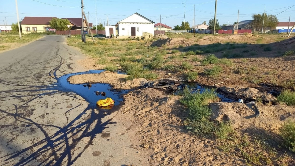 Фото: департамент экологии по Атырауской области