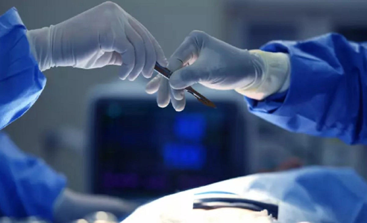 Фото: elements.envato.com