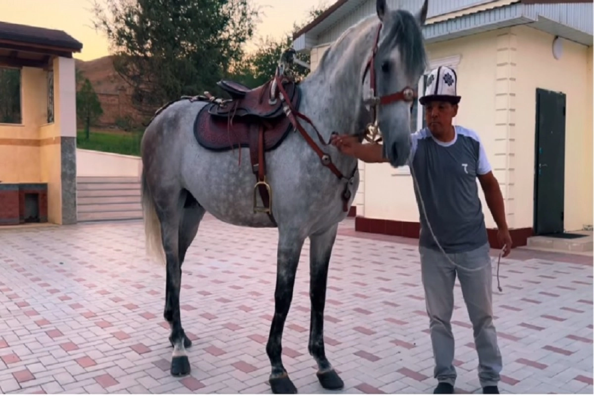 Фото: Facebook/Дайырбек Орунбеков