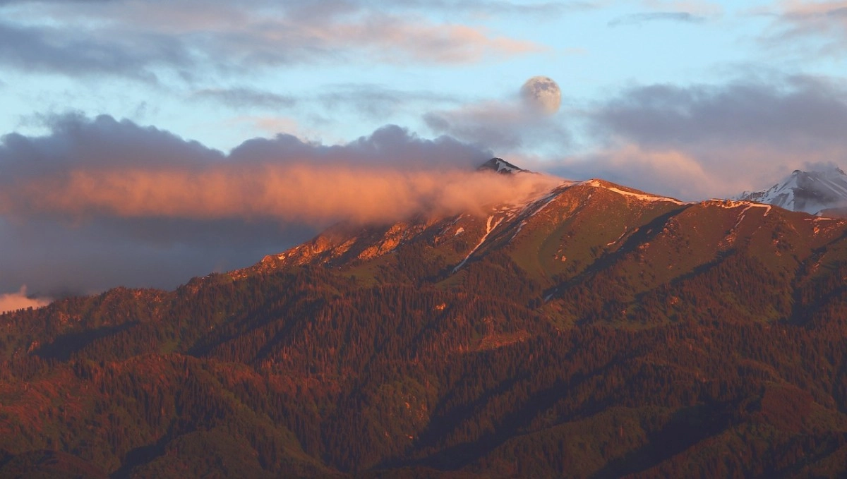 Фото: pixabay.com