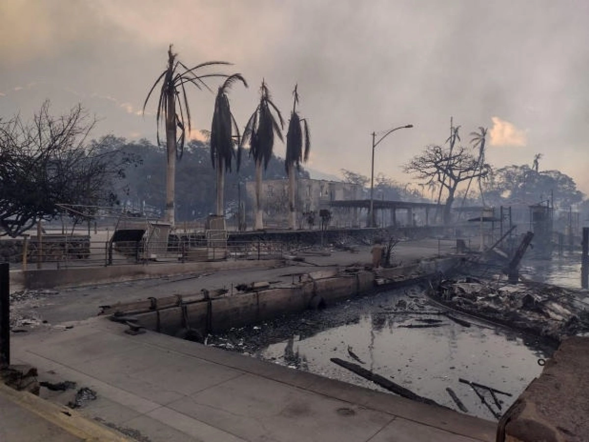 Фото: MASON JARVI/HANDOUT VIA REUTERS