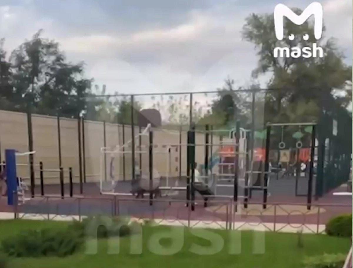 Кадр из видео