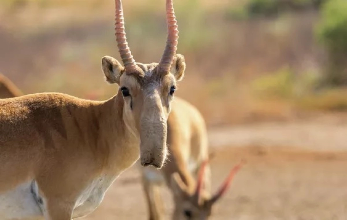 © Depositphotos.com / Rostovdriver