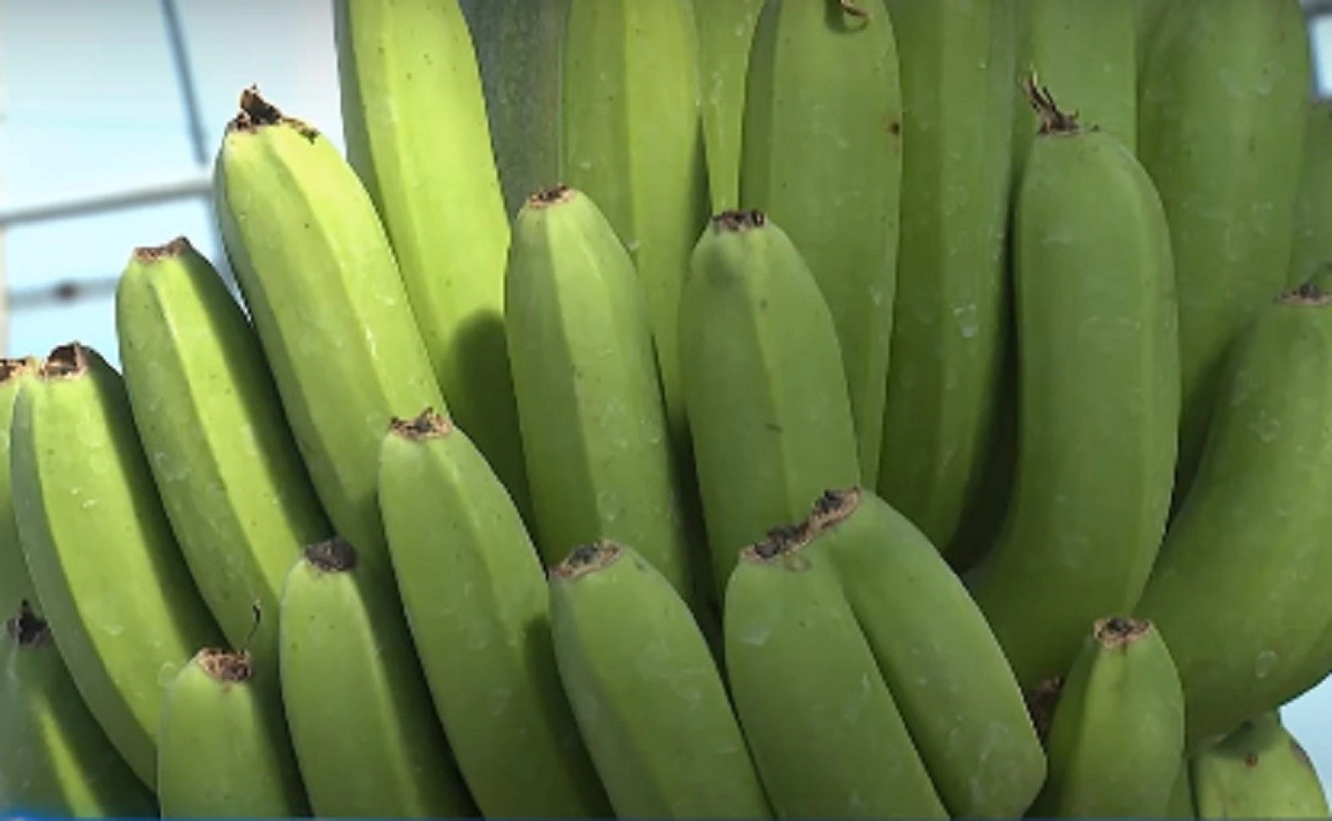 Кадр из видео