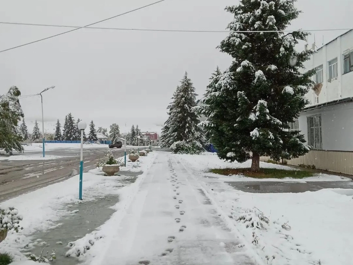 Фото: Instagram/katonkaragai.semi