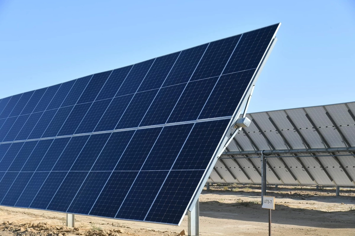 Фото: акимат Туркестанской области