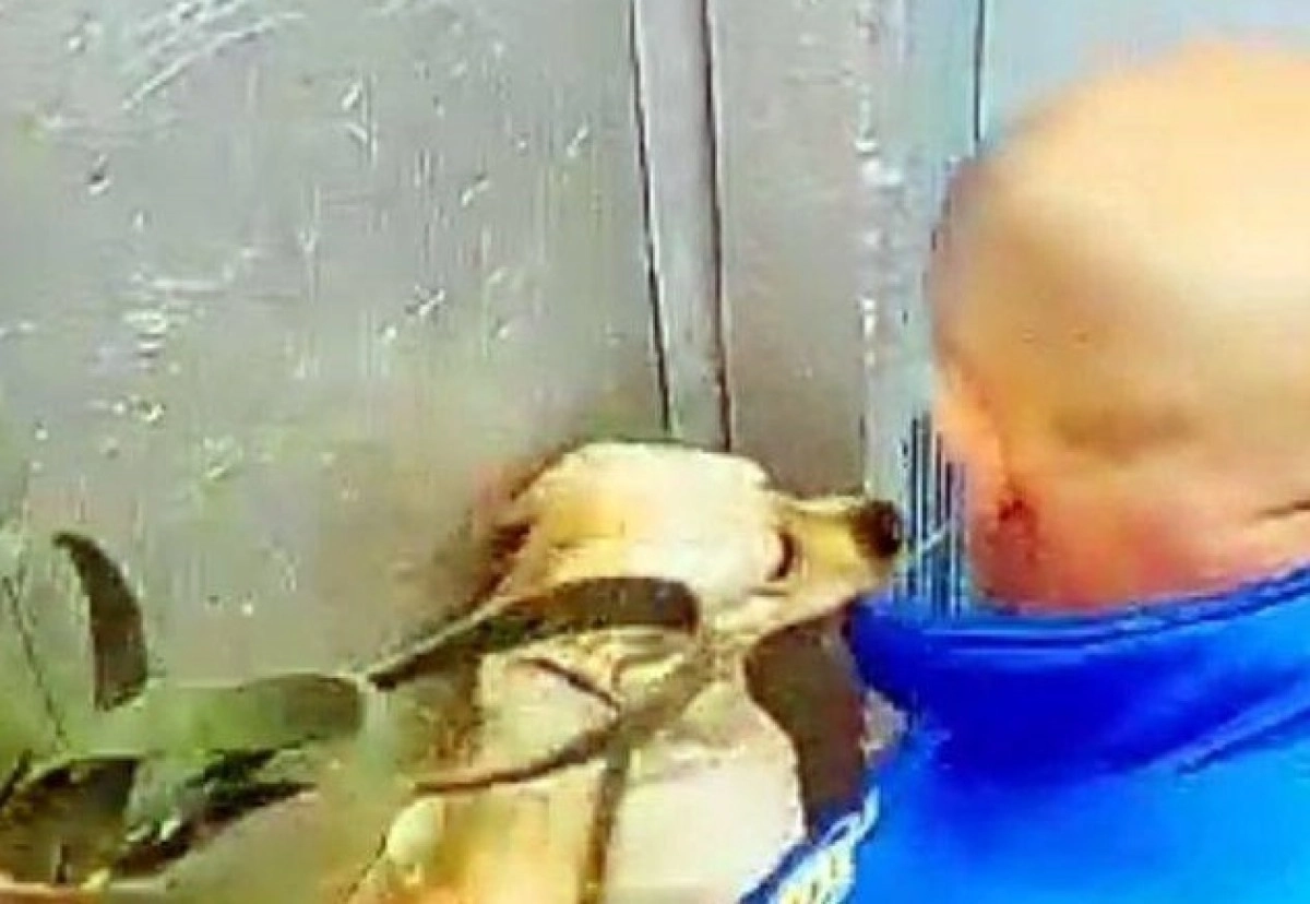 Кадр из видео