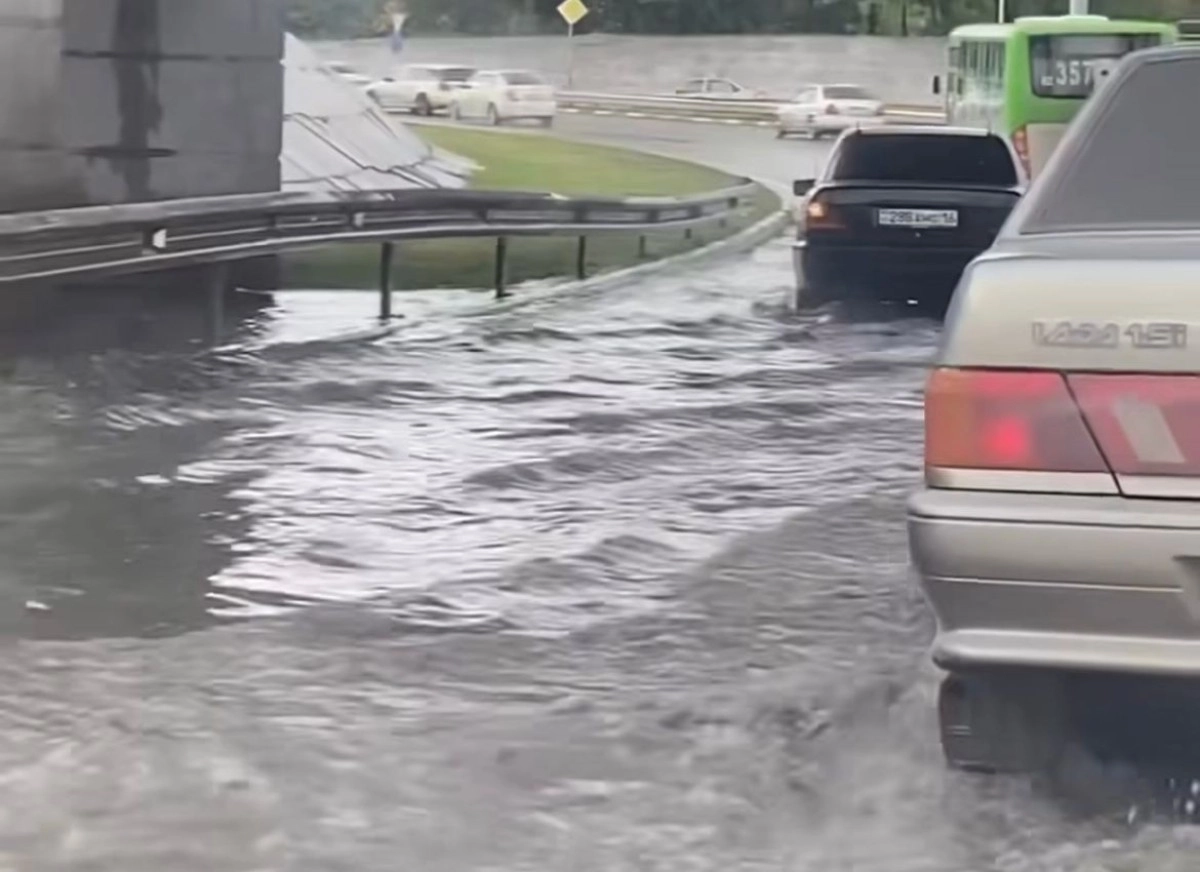 Фото: кадр из видео