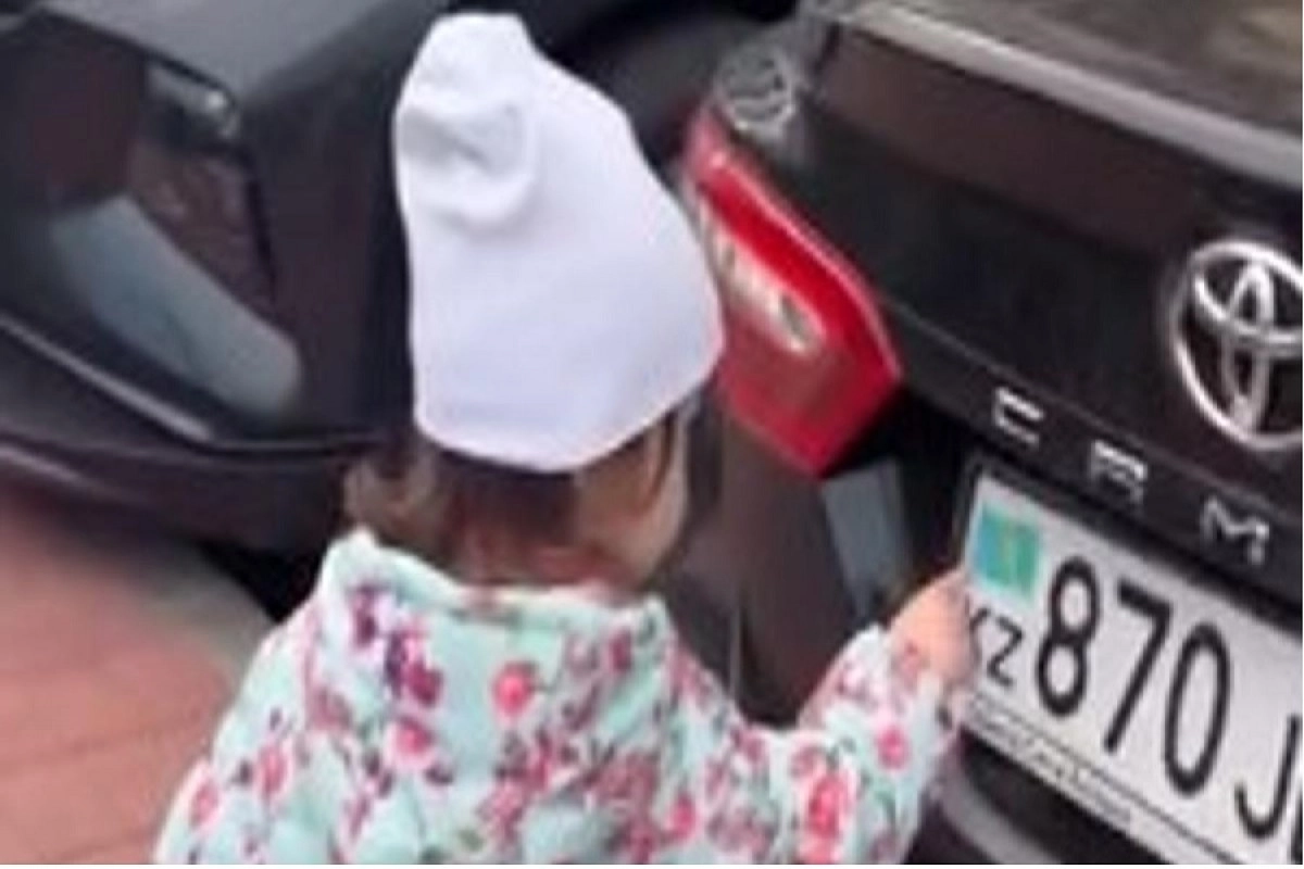 Фото: скриншот видео