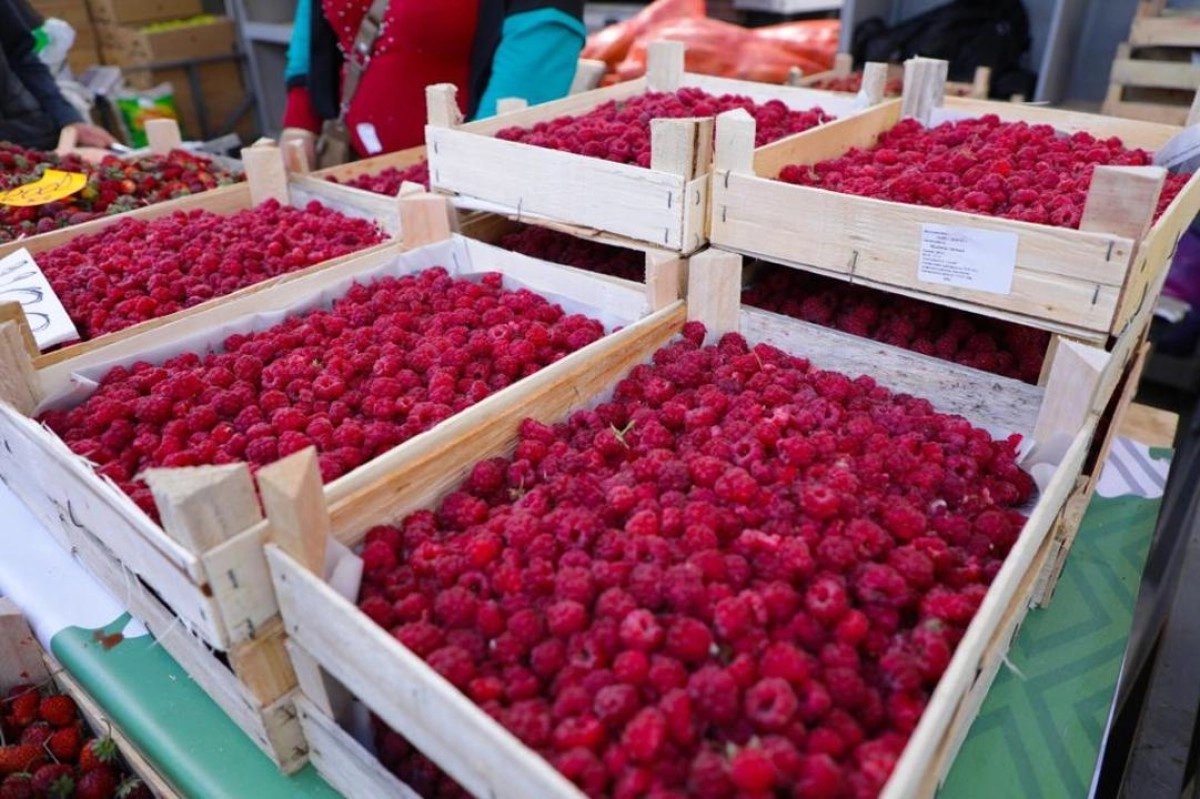 Фото: Пресс-служба акимата Астаны