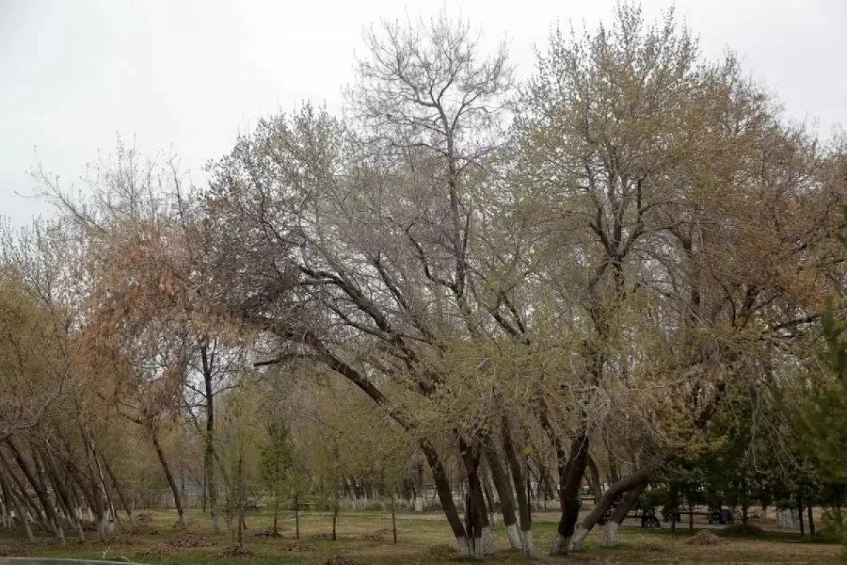 Фото: ИА «NewTimes.kz»