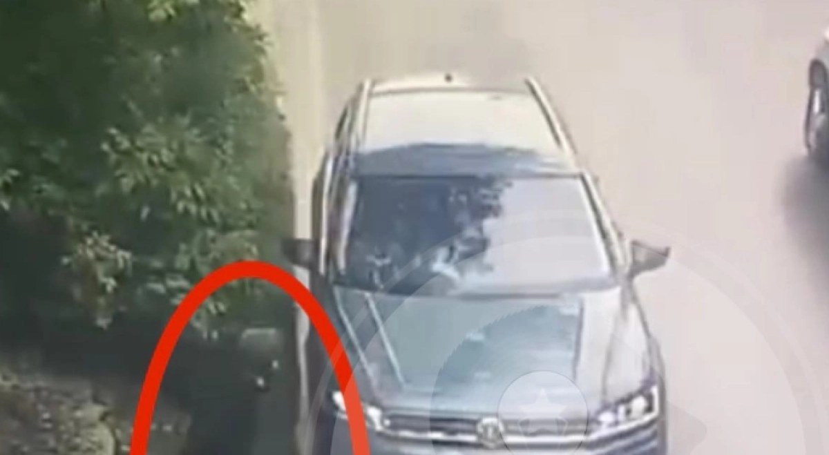 Фото: Instagram/ denski_blog