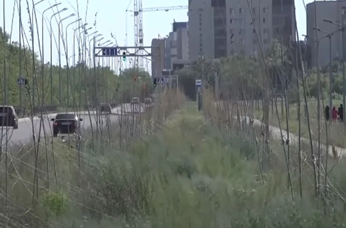 Кадр из видео