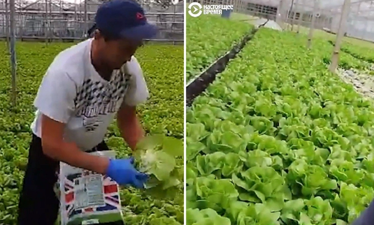 Кадр из видео