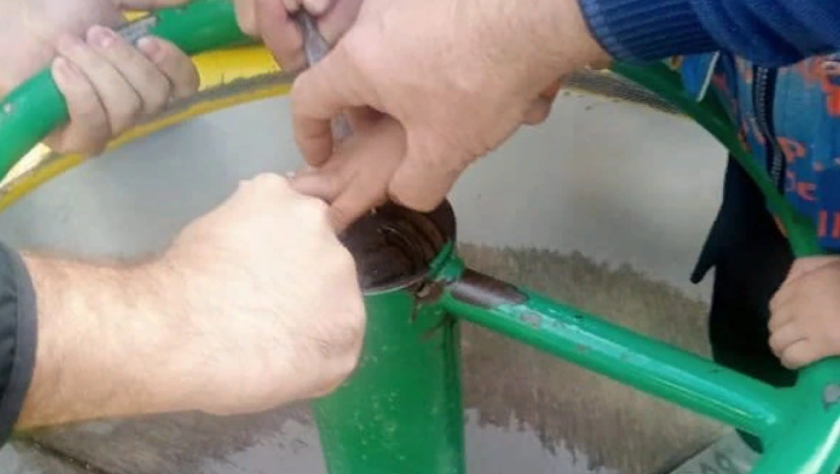 Фото: Instagram/@shygysqaz_tjd