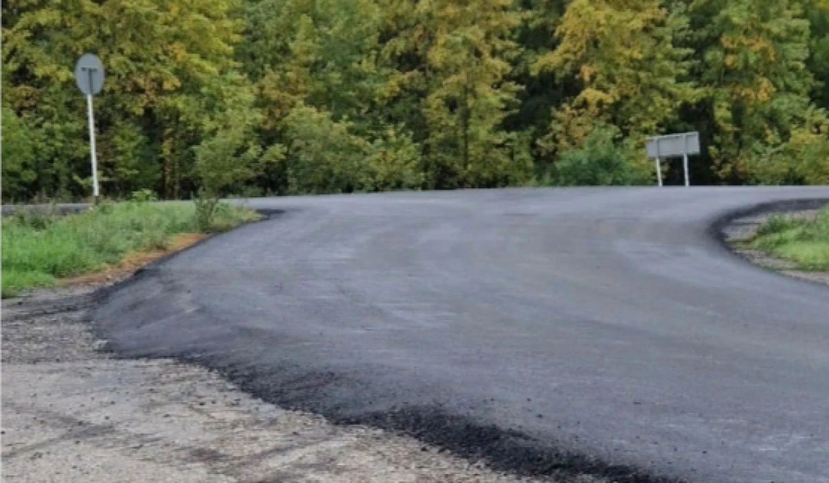 Фото: Instagram/@didaroneqz