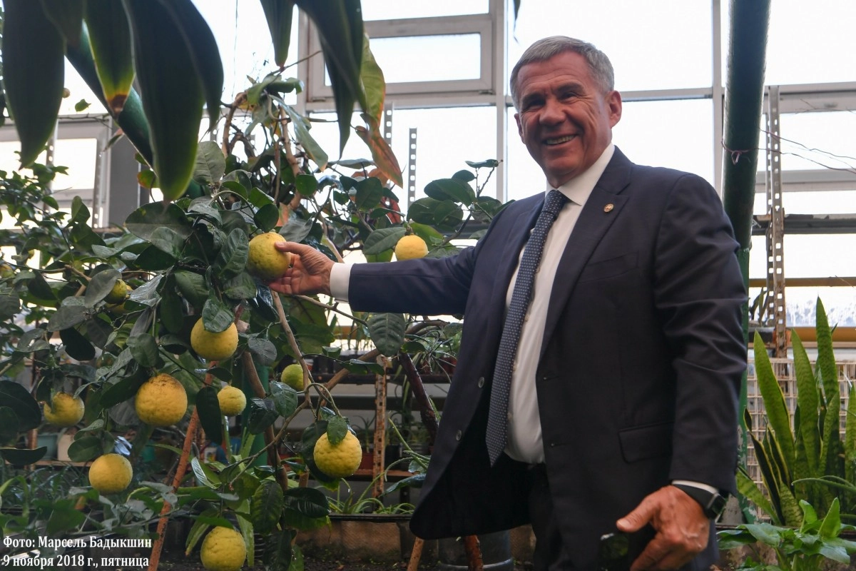 Фото: Ботанический Сад Равиль Рязапов/Facebook