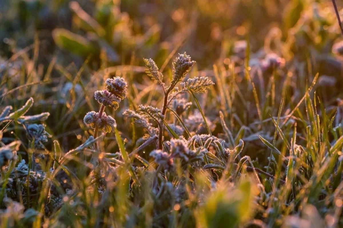 Фото: depositphotos.com