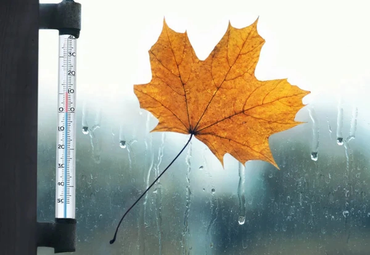 Фото: depositphotos.com