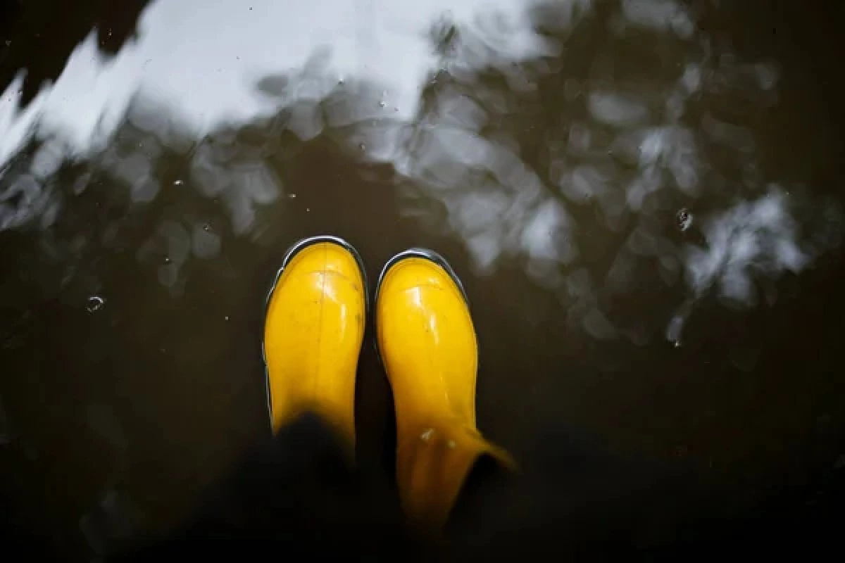 Фото: depositphotos.com