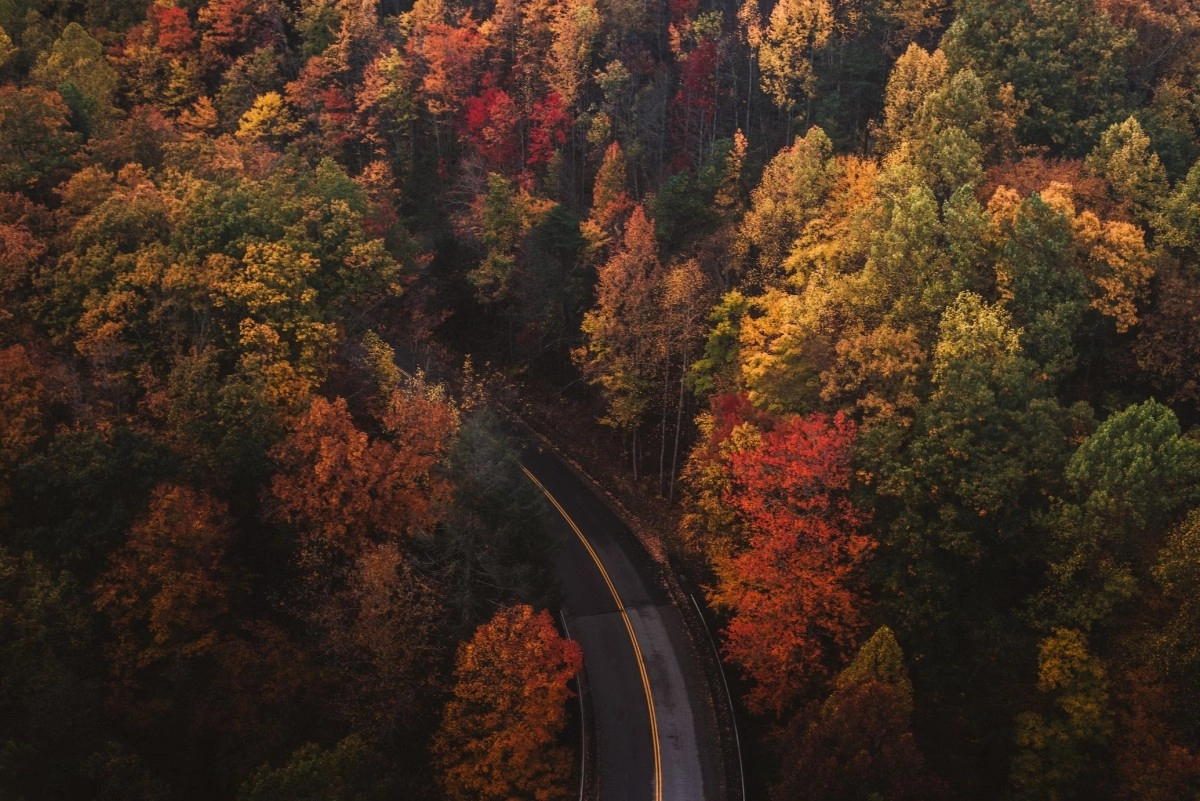 Фото: Unsplash