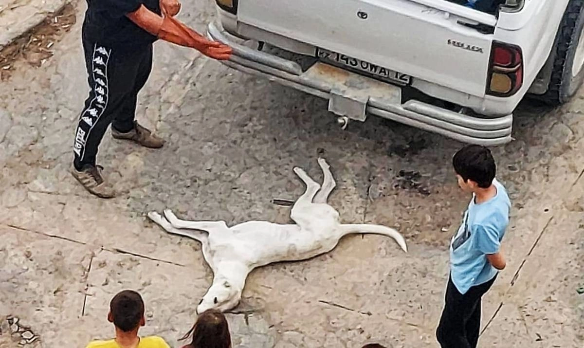 Фото жителей дома №31 в 4 микрорайоне г.Актау