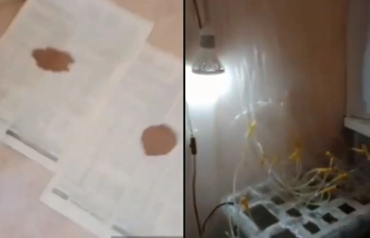 Коллаж: ИА «NewTimes.kz»