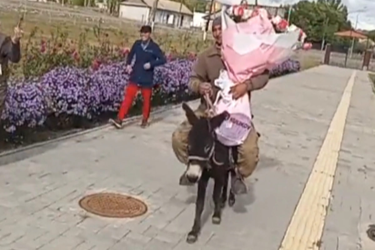 Фото: кадр из видео