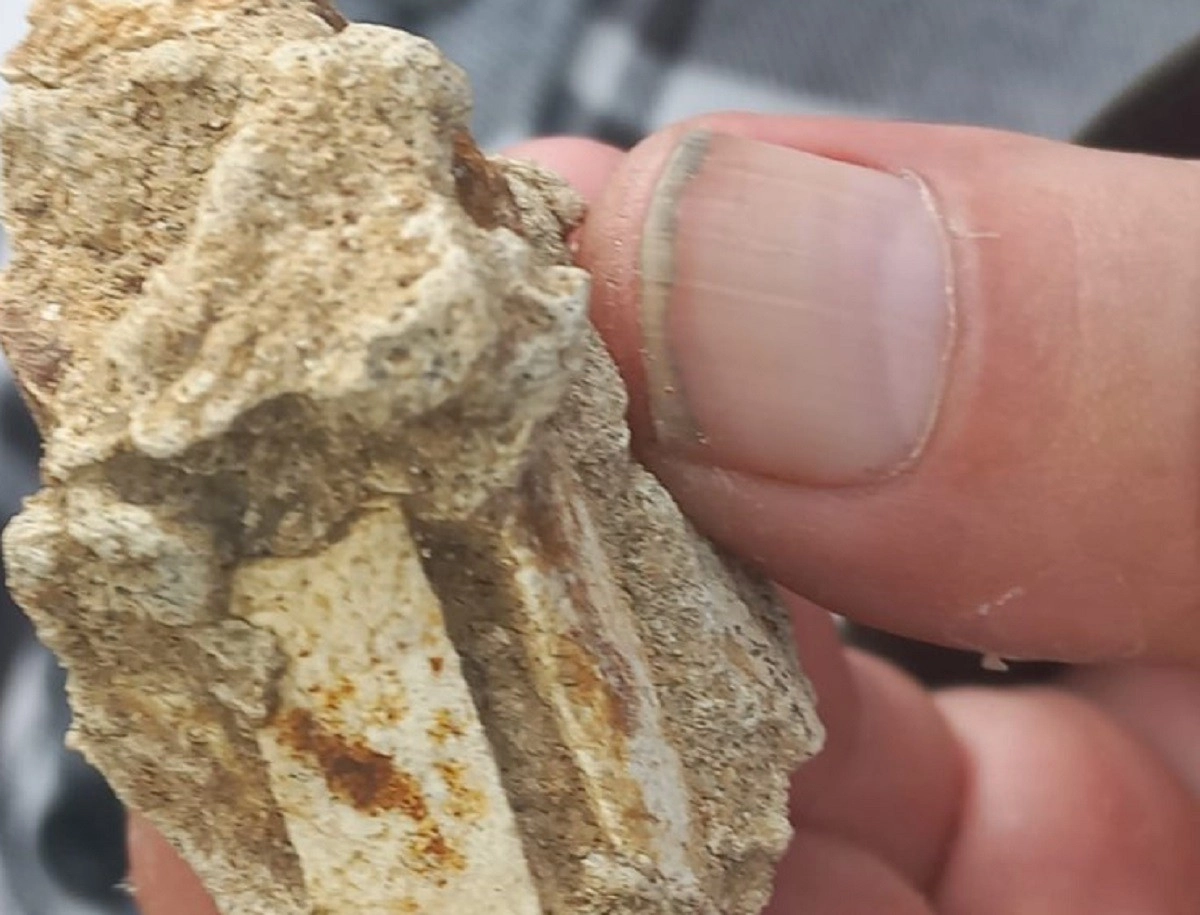 Фото: Георгий Пересветов