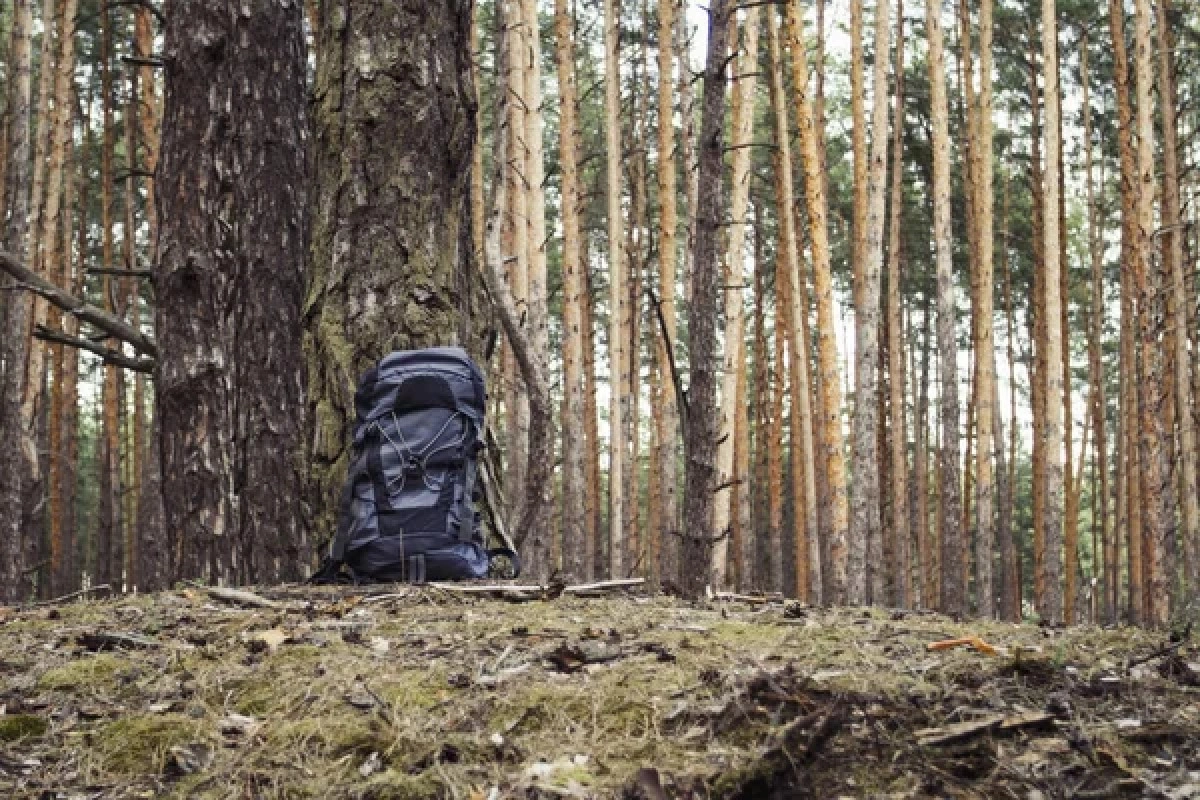 Фото: depositphotos.com