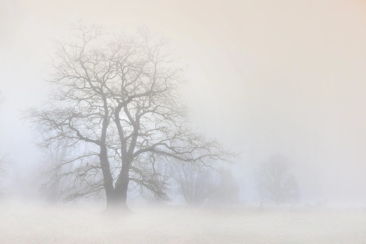 Фото: Pixabay.kz